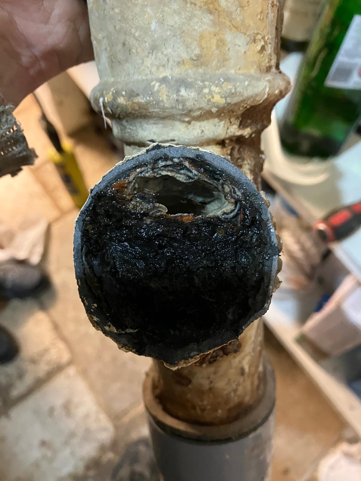 Low level access shower conversion in a Northampton period 6